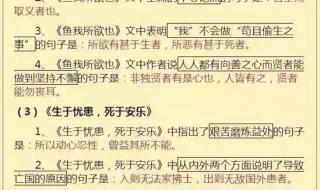 怎么才能学好初中语文